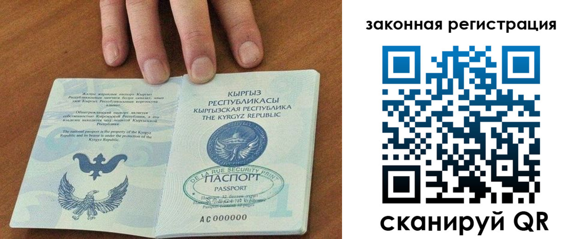 прописка гарантия в Тынде